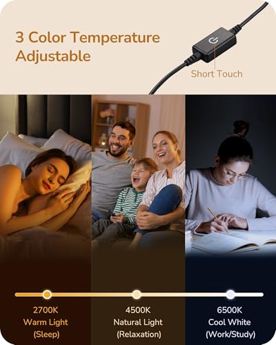 LED Table Lamp