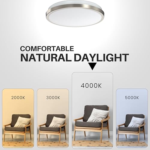 LED Ceiling Light Flush Mount 10 Inches Ceiling Light Fixture Dimmable for Bathroom