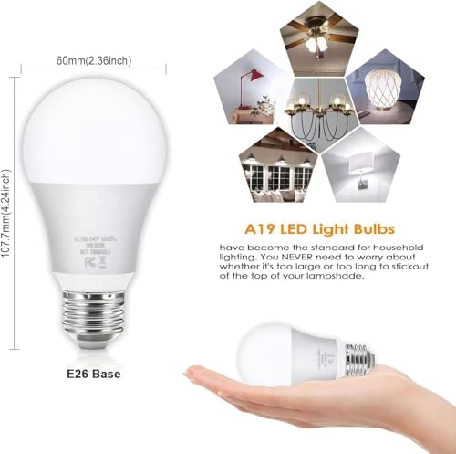 A19 LED Light Bulbs (30 Count)