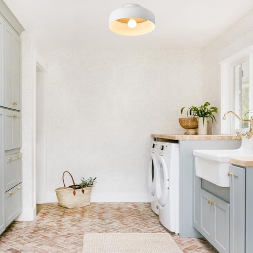 Semi Flush Mount Ceiling Light