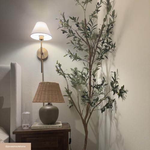 Millie Plug in Wall Sconce