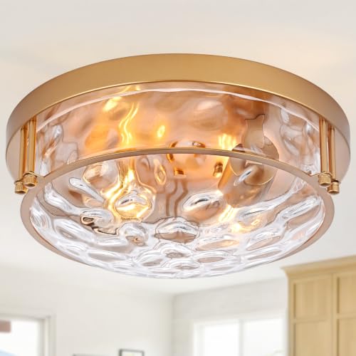 Gold 2 Light Ceiling Light Fixture with Hammered Glass