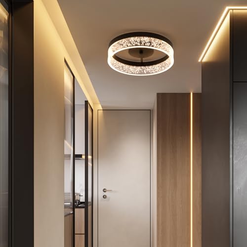 Modern LED Ceiling Light Fixture