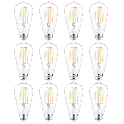 ST58 E26 LED Light Bulbs (12 Count)