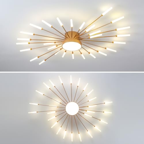 Modern Ceiling Light
