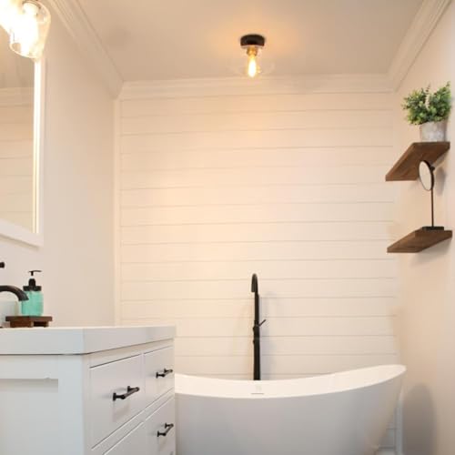 Semi Flush Mount Ceiling Light