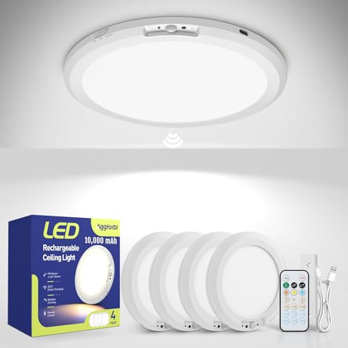 10000mAh Rechargeable Ceiling Light Waterproof Shower Light 4 Pack (4 Count)