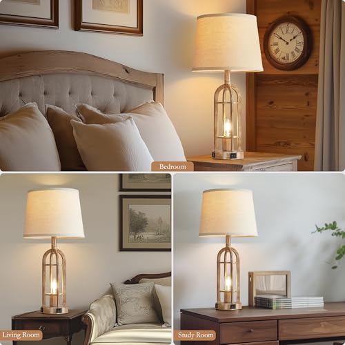 Table Lamps for Living Room End Table Set of 2 (2 Count)