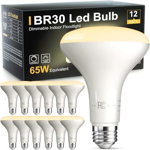 12 Pack BR30 Flood Light Bulb Indoor (12 Count)