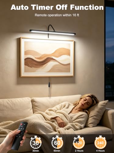 Plug in Picture Light for Wall (Black / 24 Inch)