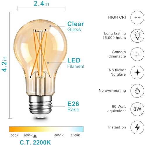 A19 LED Edison Light Bulb (12 Count)