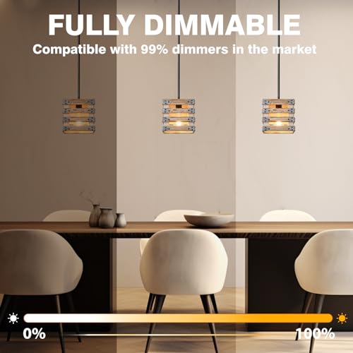 Edison Light Bulbs 60W Equivalent (6 Count)