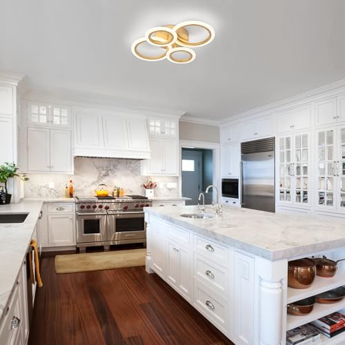 Modern LED Ceiling Light