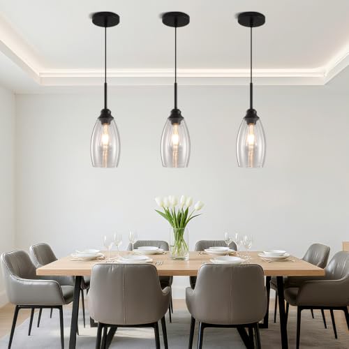 3 Lights Industrial Pendant Light with Glass Shade Matte Black Pendant Lighting Adjustable Industrial Retro Style Hanging Light