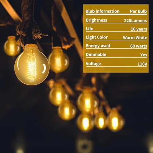 G80 Globe Edison Light Bulb (6 Count)