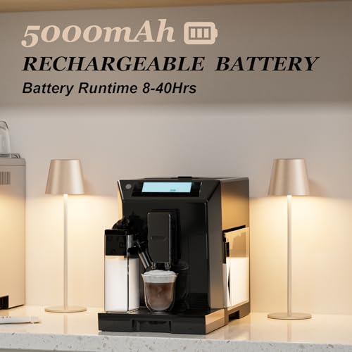 Champagne Gold Cordless Table Lamp Rechargeable (2 Count)
