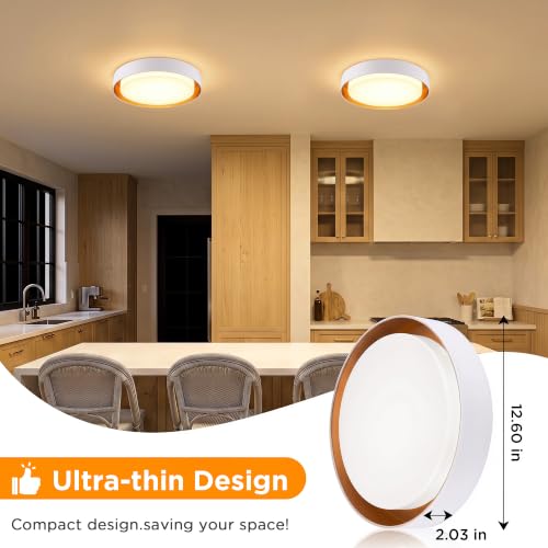 Flush Mount Ceiling Light (Matte White)