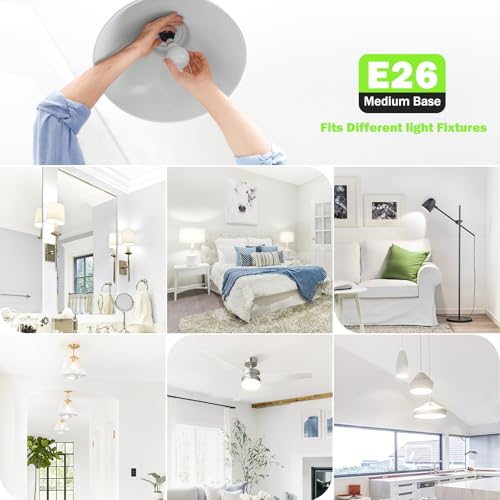A19 LED Light Bulb 60W Equivalent (4 Count)