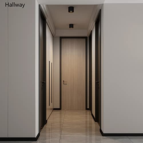 Ceiling Light Fixture