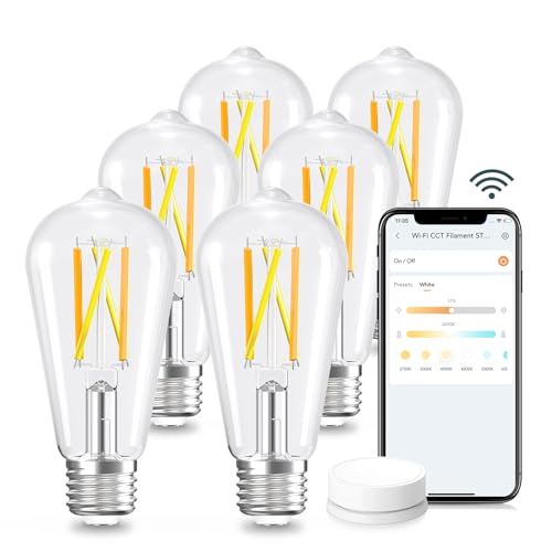 Smart Edison Light Bulb (6 Count)