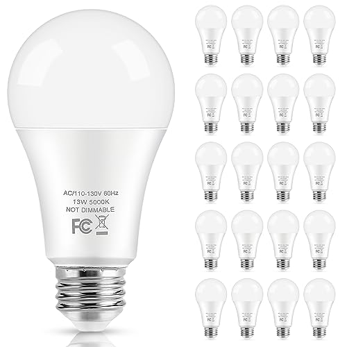 LED Light Bulbs (20 Count)