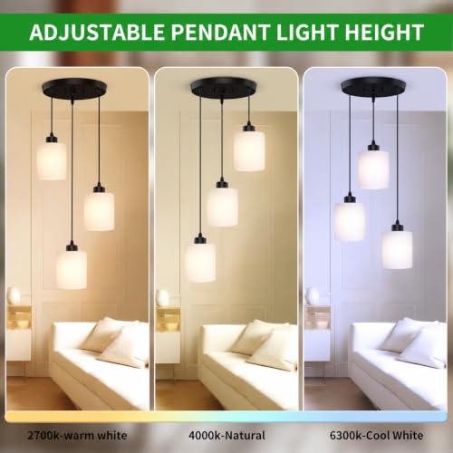 3 Light Pendant Lighting