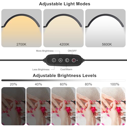 Half Moon Desk Lash Light with 4X Magnifier