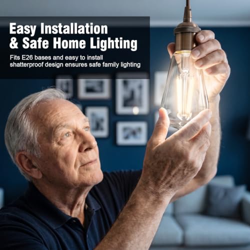 LED Edison Light Bulbs 12 Pack