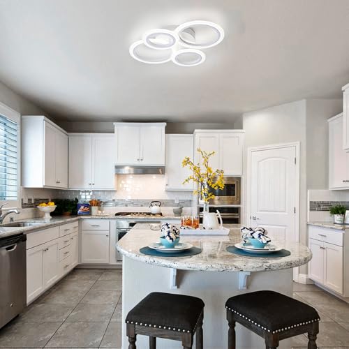 Modern LED Ceiling Light