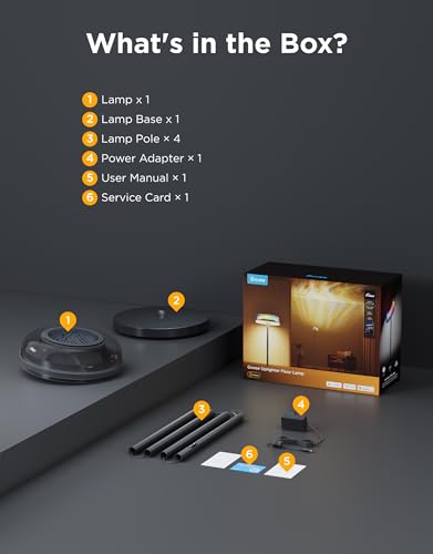 Uplighter Floor Lamp for Living Room