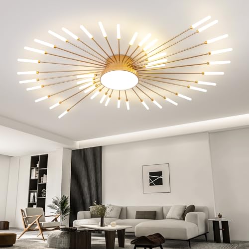 Modern Ceiling Light