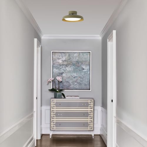 Modern LED Ceiling Light