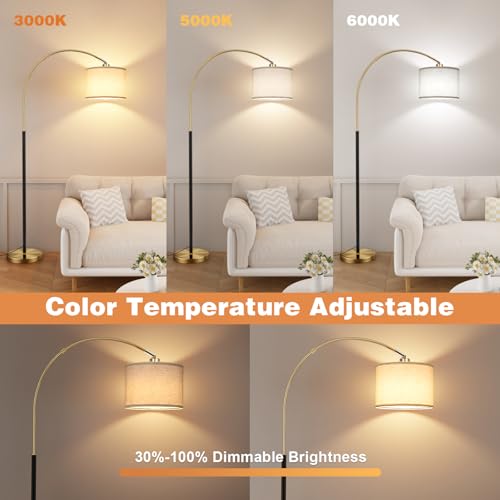 Dimmable Arc Floor Lamp with Remote