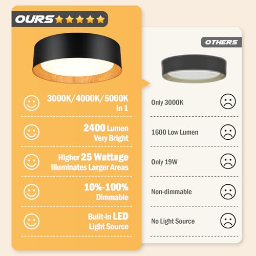 Flush Mount Ceiling Light