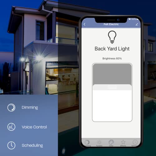OM60/950CA/AG 60W Equivalent 2.4GHz WiFi Dimmable, No Hub Required, Alexa Google Assistant A19 Smart LED Light Bulb, 4.4" H x 2.3" D, 5000K Daylight