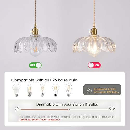Plug in Pendant Light
