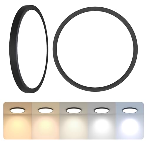 12 Inch Black LED Flush Mount Ceiling Light Fixture (2 Count)