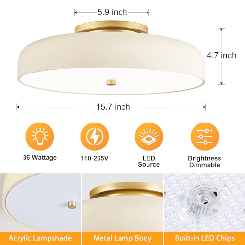 Dimmable LED Ceiling Light Fixture