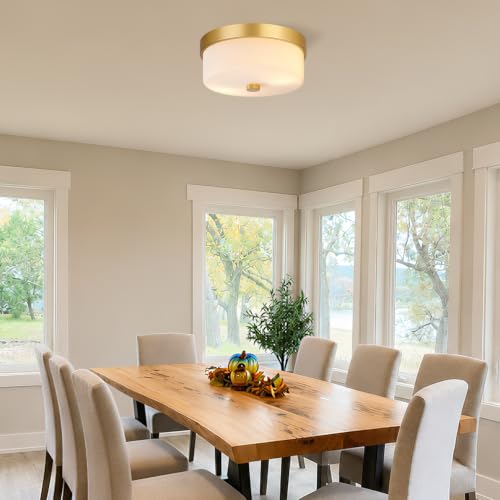 Flush Mount Ceiling Light Fixtures