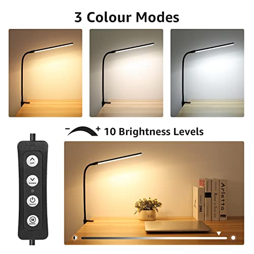 Clip on Desk Lamp