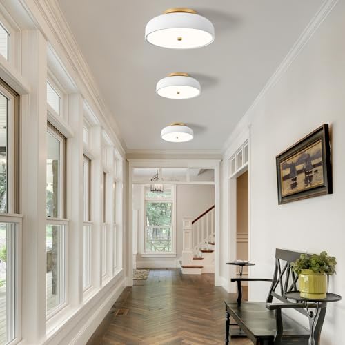 Dimmable LED Ceiling Light Fixture