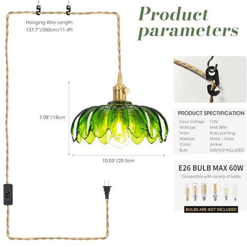 Plug in Pendant Light