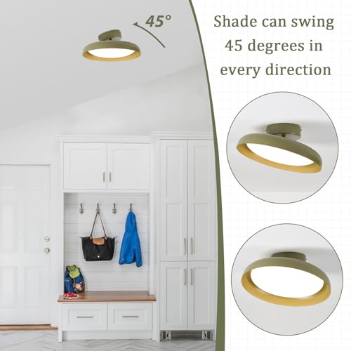 Modern LED Ceiling Light