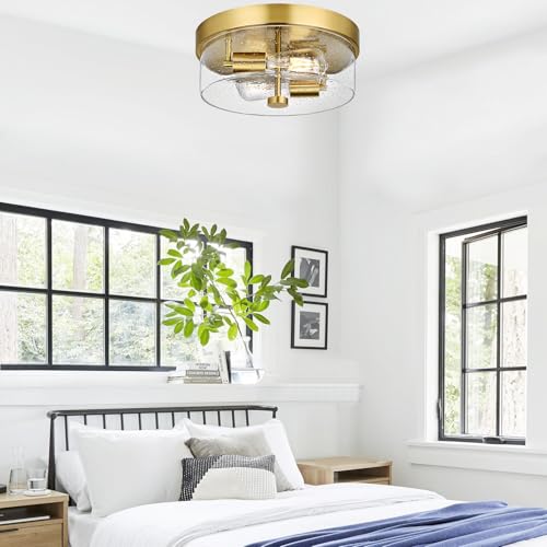 Flush Mount Ceiling Light Fixtures