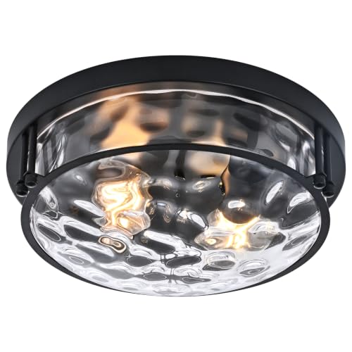 Black 2 Light Ceiling Light Fixture with Hammered Glass