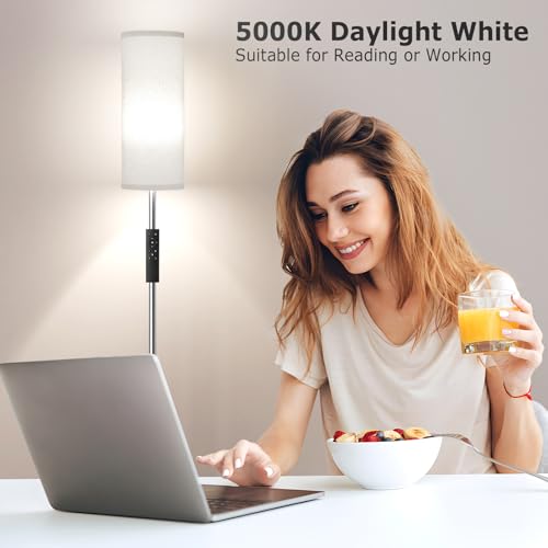 64'' Floor Lamps for Living Room with Remote Control and Stepless Dimmable Colors Temperature & Brightness