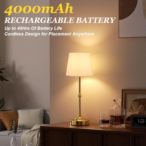 Rechargeable Cordless Table Lamp Gold (2 Count)