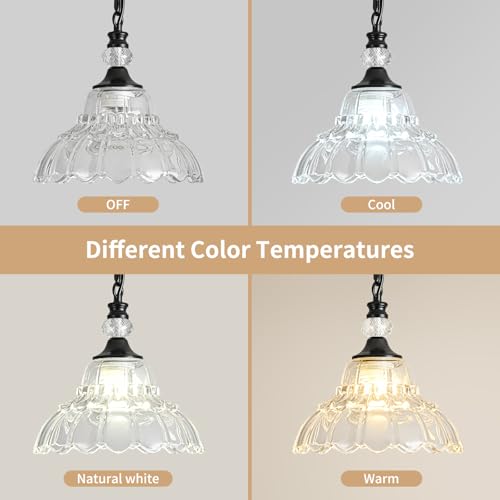 1 Piece Chandelier in Matte Black Finish with Flower (1-Light / Black and Chain Style)