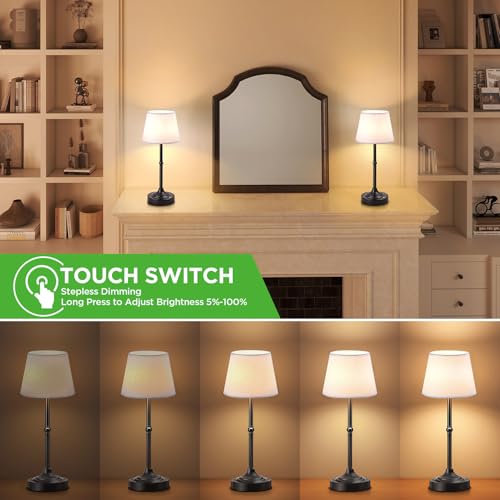 Cordless Table Lamp