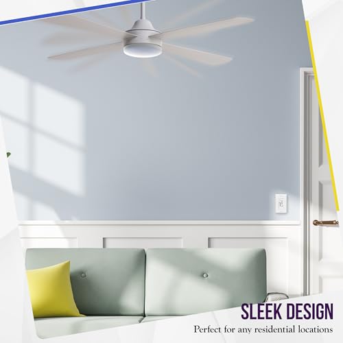 3 Speed Ceiling Fan Control and LED Dimmer Light Switch